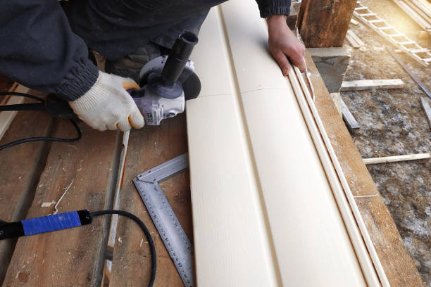 Best Siding Painting and Refinishing  in Pinardville, NH
